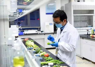 给力！2019全国农业产业化龙头企业500强发布，徐州这家企业凭借检验检测服务上榜