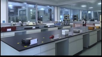 保一集团检测中心顺利通过CNAS现场评审，助力饲料添加剂生产质量提升